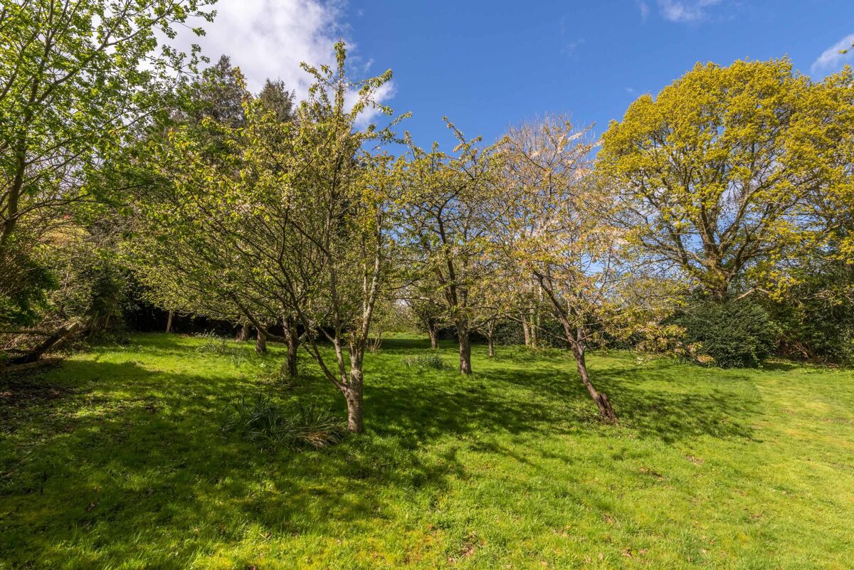 house for sale in Spring Lane, Burwash, Etchingham, East Sussex, TN19