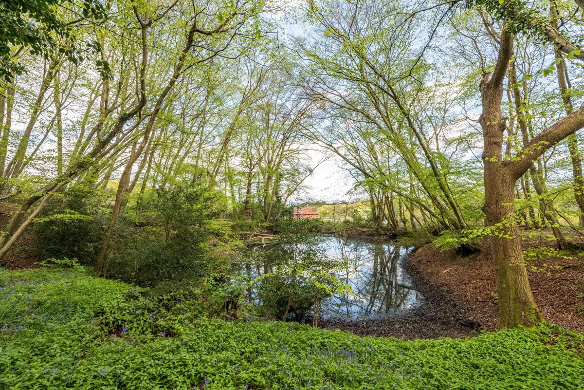 house for sale in Spring Lane, Burwash, Etchingham, East Sussex, TN19