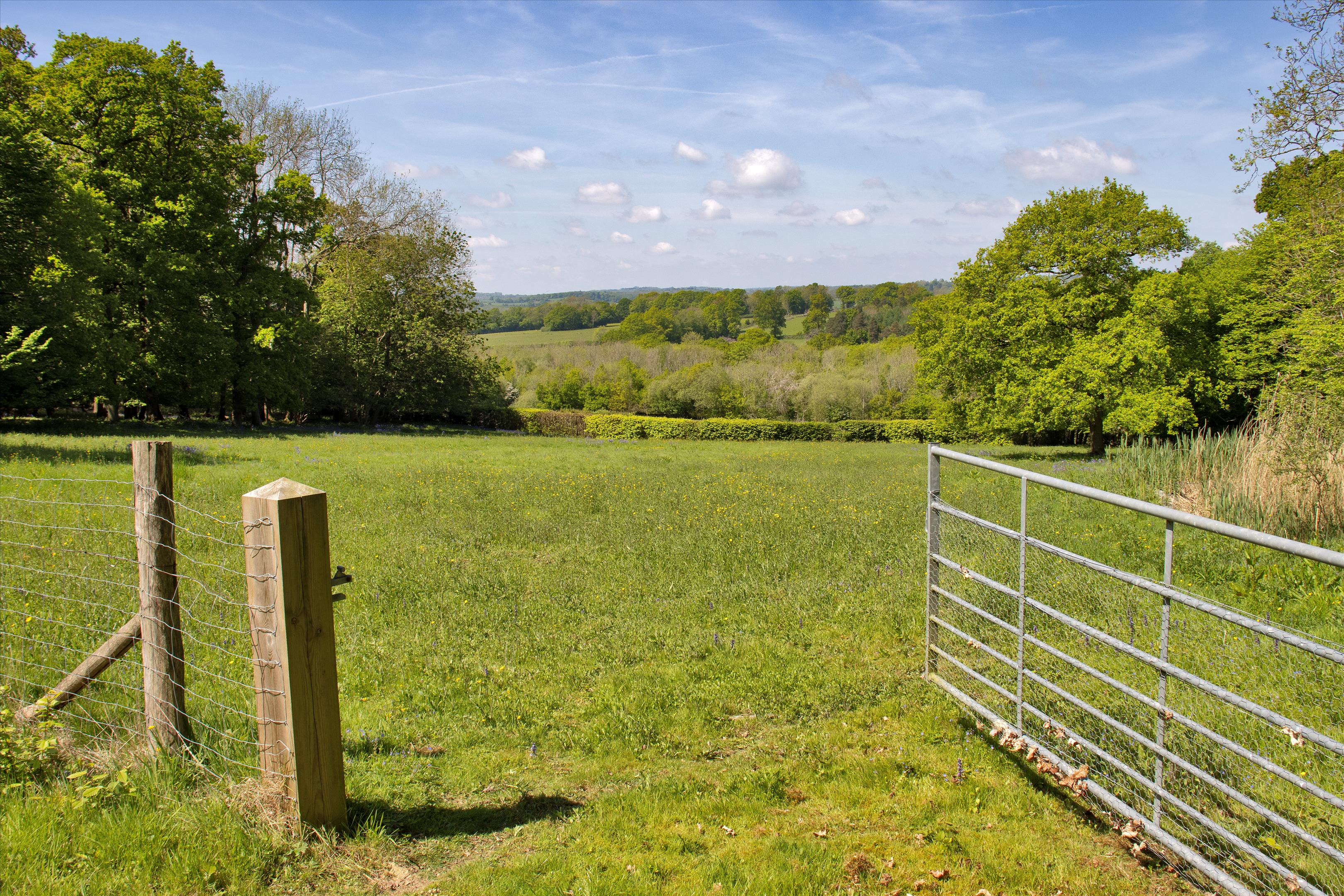 Wadhurst