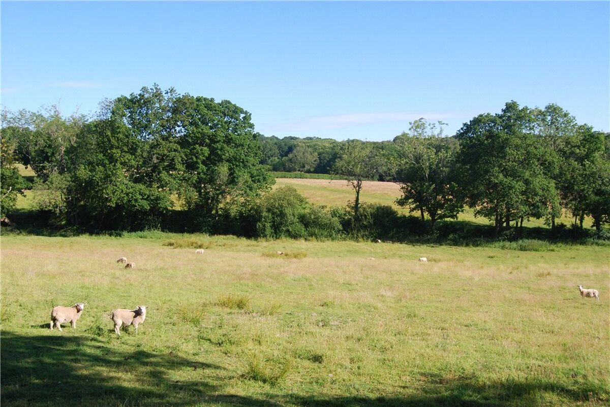 Land for sale in Land At Whitehouse Lane, Waldron, East Sussex, TN21
