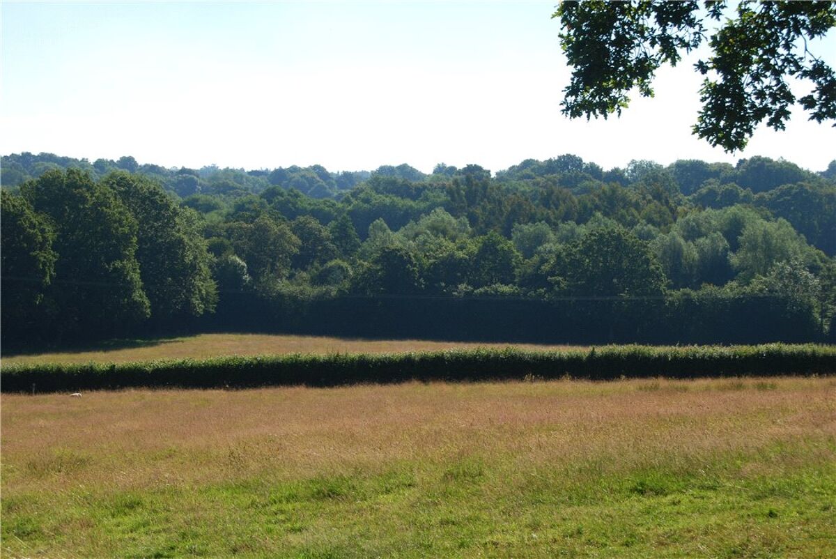 Land for sale in Land At Whitehouse Lane, Waldron, East Sussex, TN21