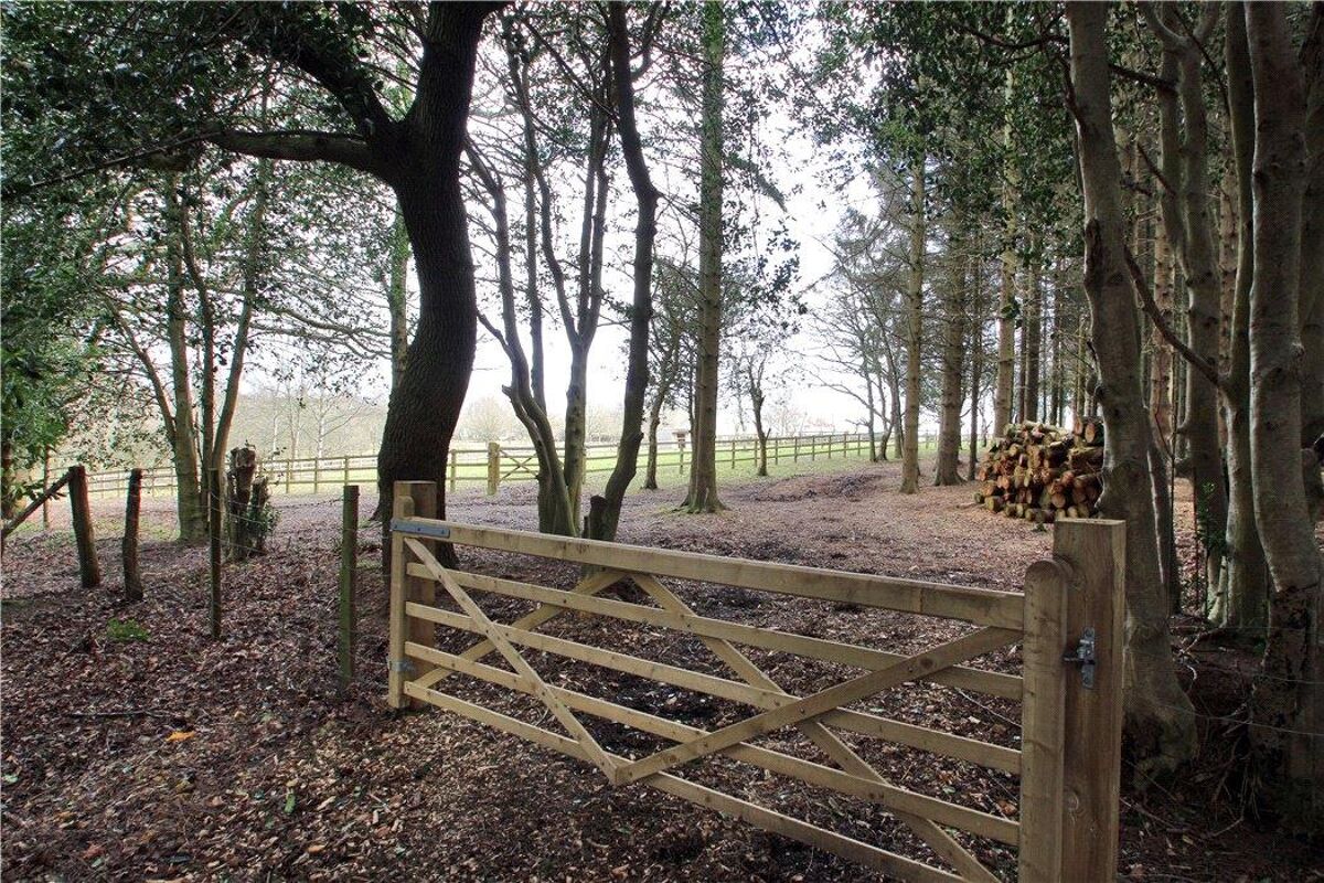 Property for sale Darwell Hill, Netherfield, Battle, East Sussex