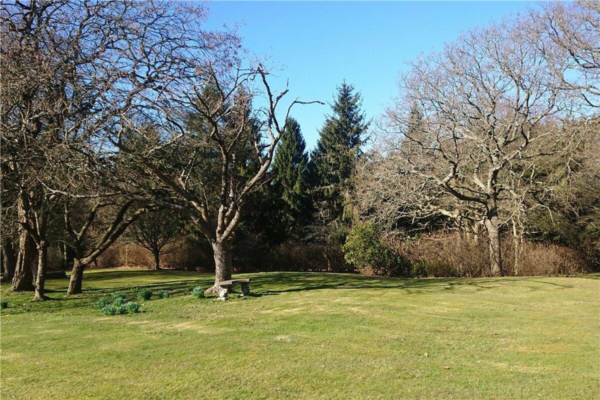 house for sale in Darwell Hill, Netherfield, Battle, East Sussex, TN33