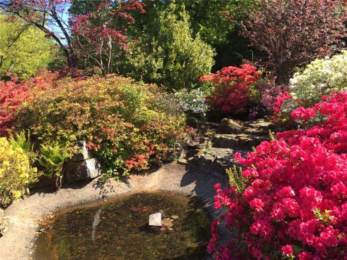 house for sale in Darwell Hill, Netherfield, Battle, East Sussex, TN33