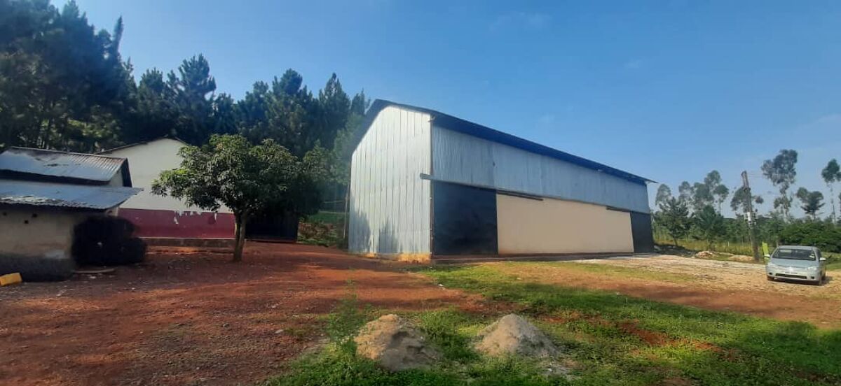 House for sale in CS063,Bugembe, Jinja,Uganda UGCS063 Knight Frank