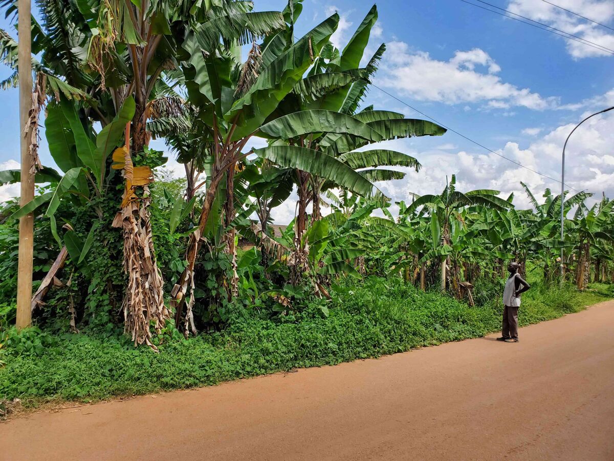 Development Land for sale in Luzira, Kampala, CS208 UGCS208 Knight
