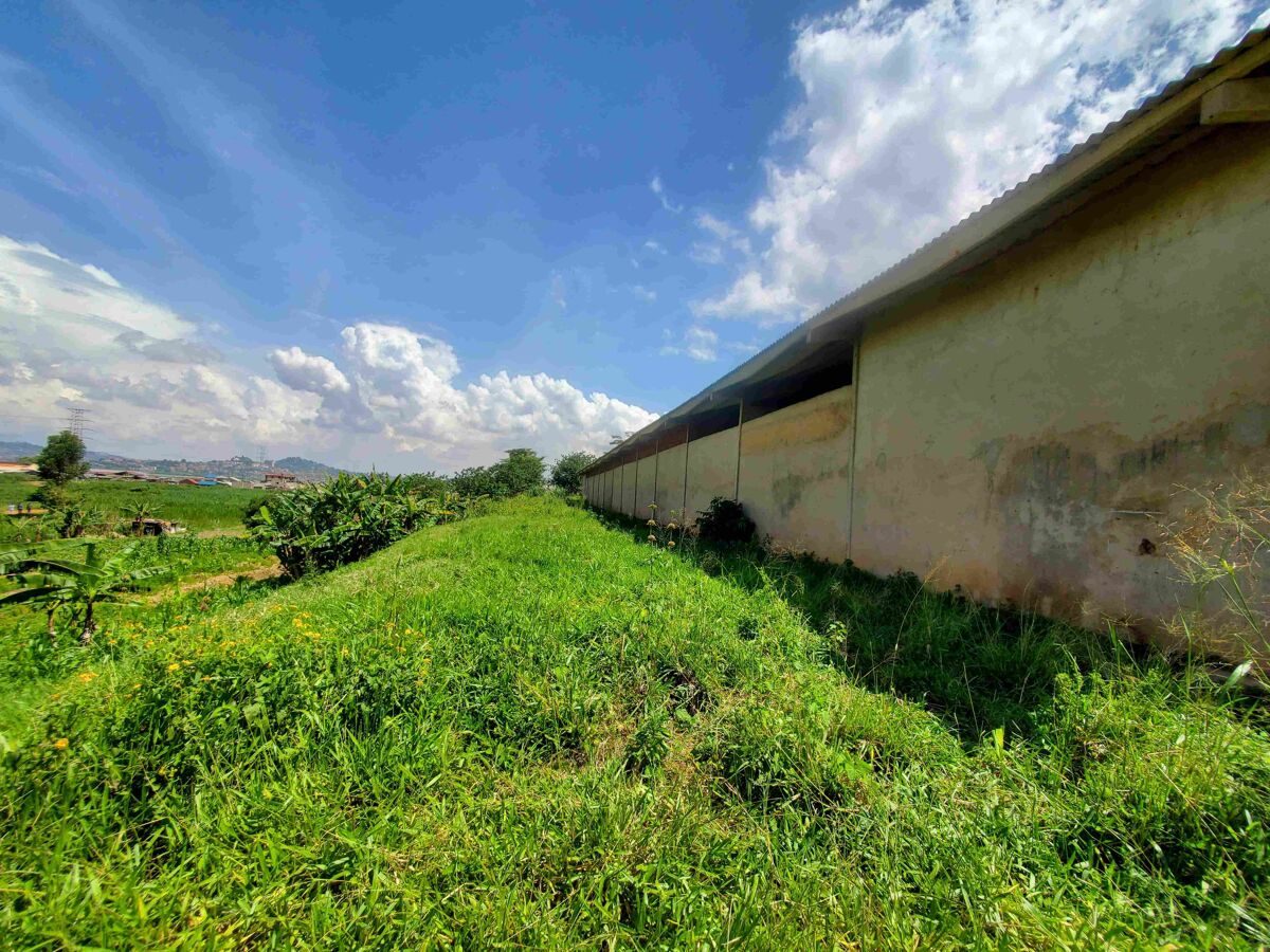 Development Land for sale in Luzira, Kampala, CS208 UGCS208 Knight Frank