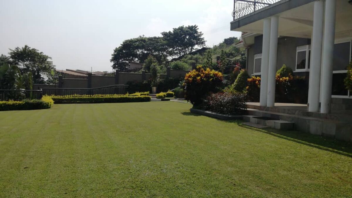 house to rent in RL10076, Lubowa, Kampala UGRL10076 Knight Frank