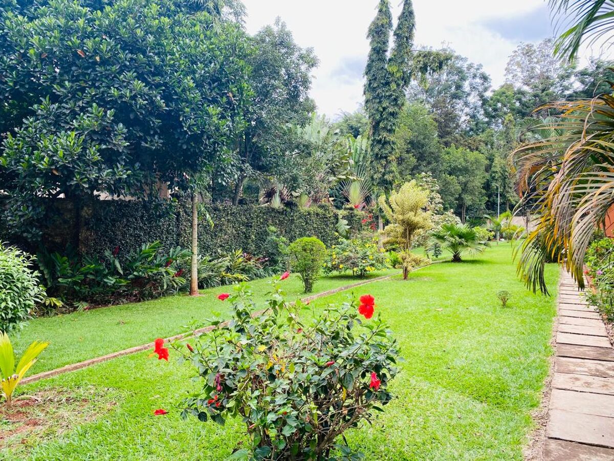 house to rent in Kololo, Kampala, RL10235 ugrl10235 Knight Frank