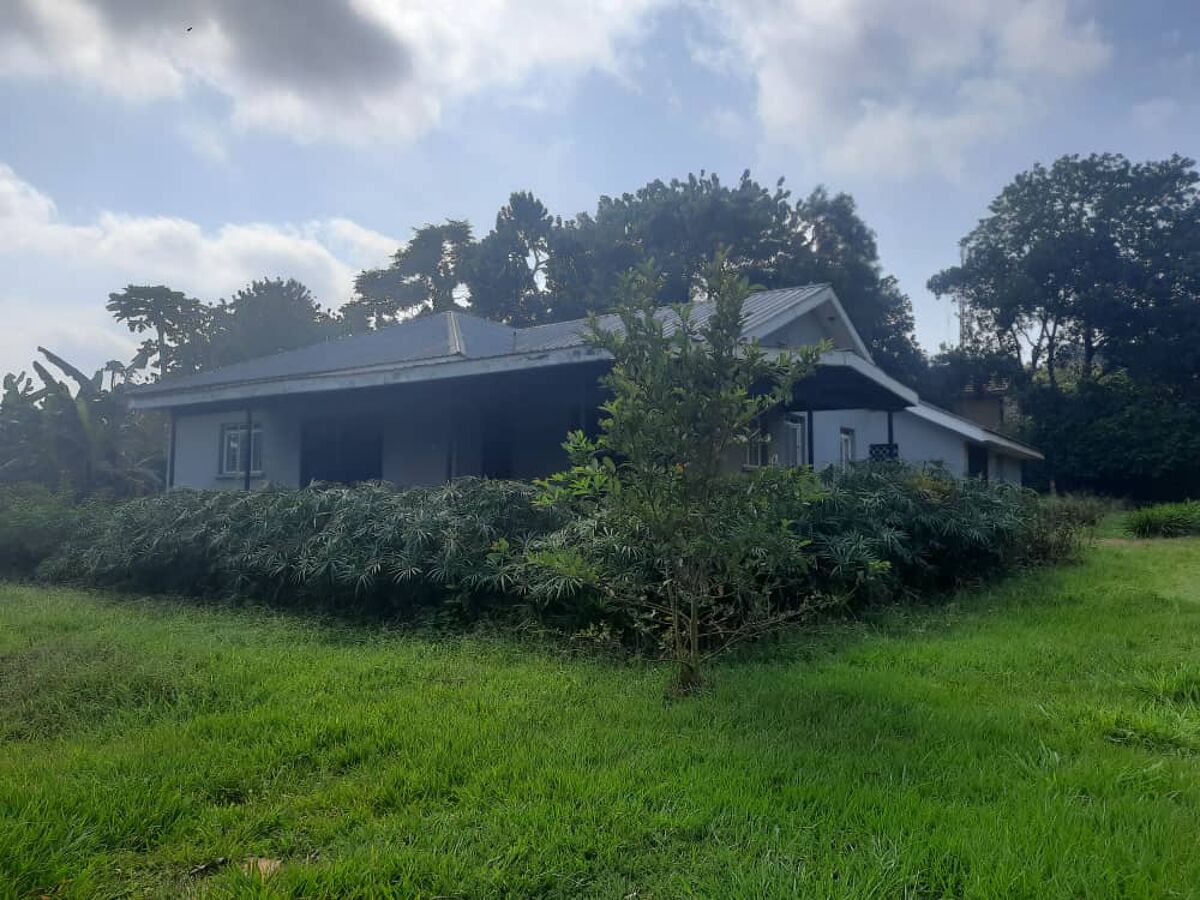 house for sale in RS1045,Jinja,Uganda UGRS1045 Knight Frank