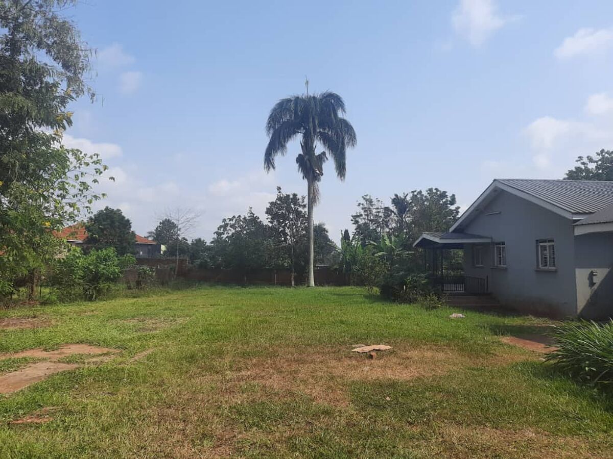 house for sale in RS1045,Jinja,Uganda UGRS1045 Knight Frank