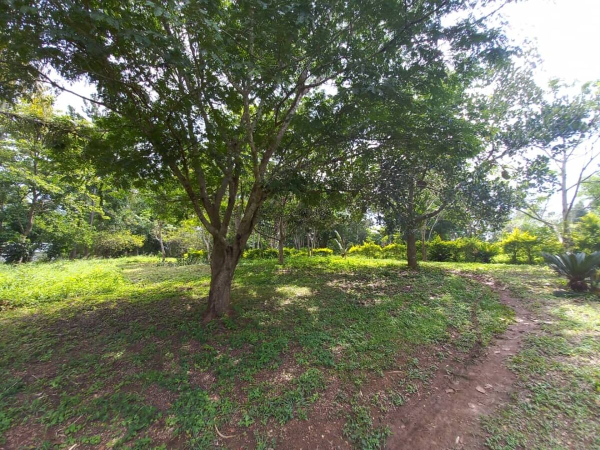 Land for sale in Busowoko, Jinja, Uganda, RS1081 UGRS1081 Knight Frank