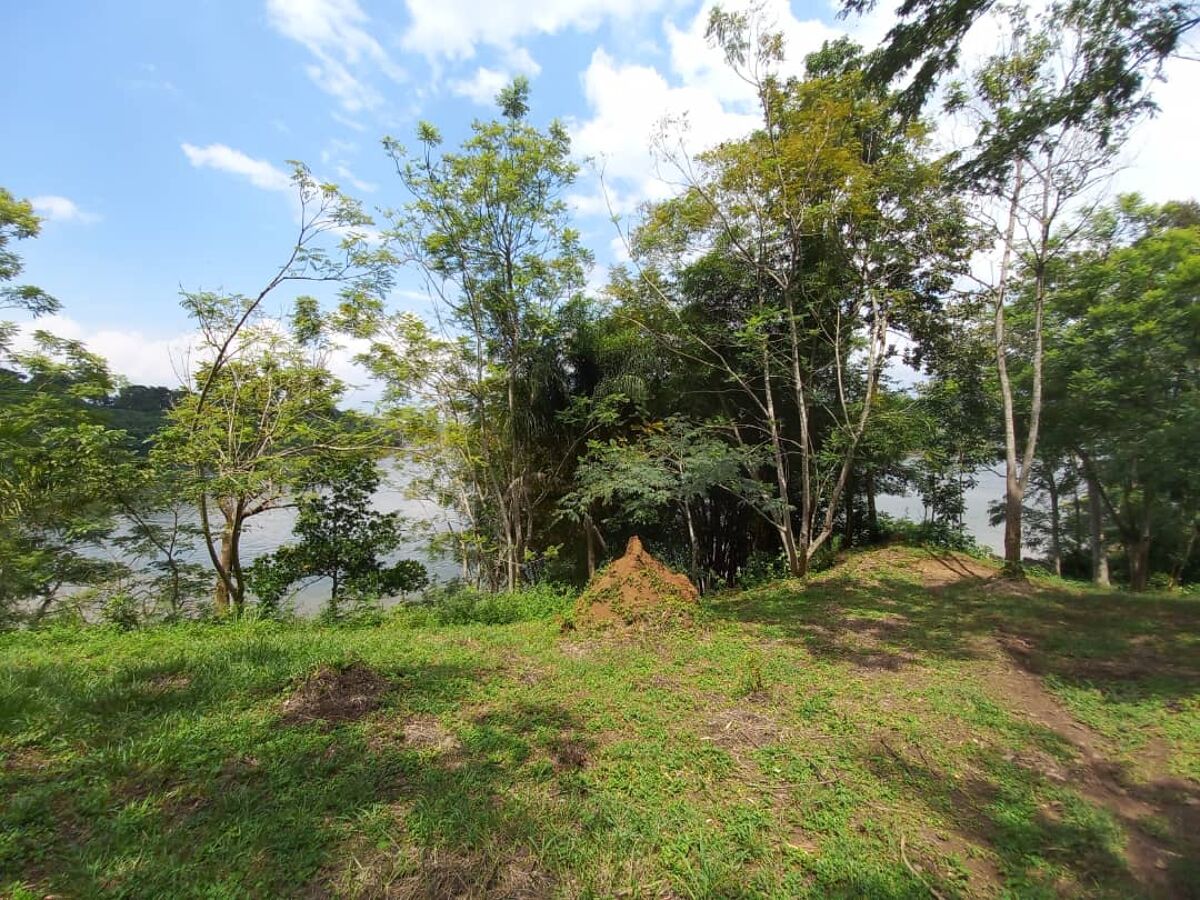 Land for sale in Busowoko, Jinja, Uganda, RS1081 UGRS1081 Knight Frank