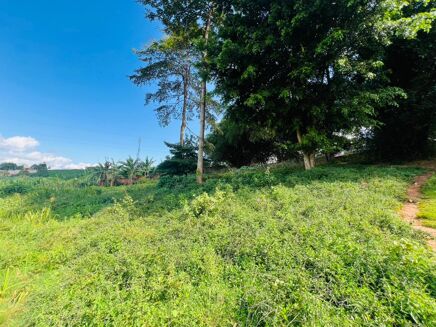 Picture of Land/Site/Dev for sale.
