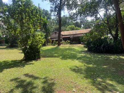 Picture of Land/Site/Dev for sale.