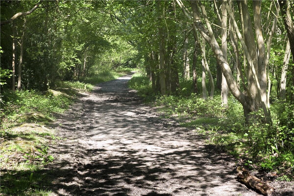 Farm/Estate for sale in Pennypot Lane, Chobham, Woking, Surrey, GU24