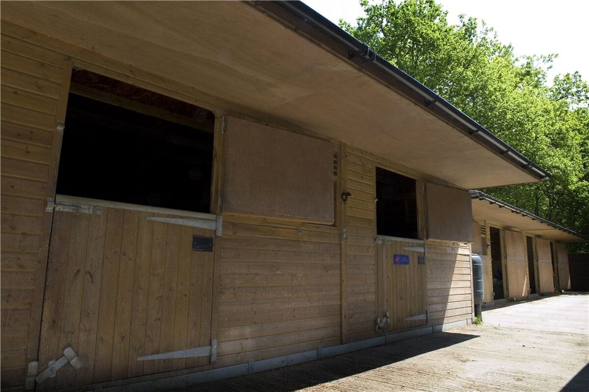Farm/Estate for sale in Pennypot Lane, Chobham, Woking, Surrey, GU24