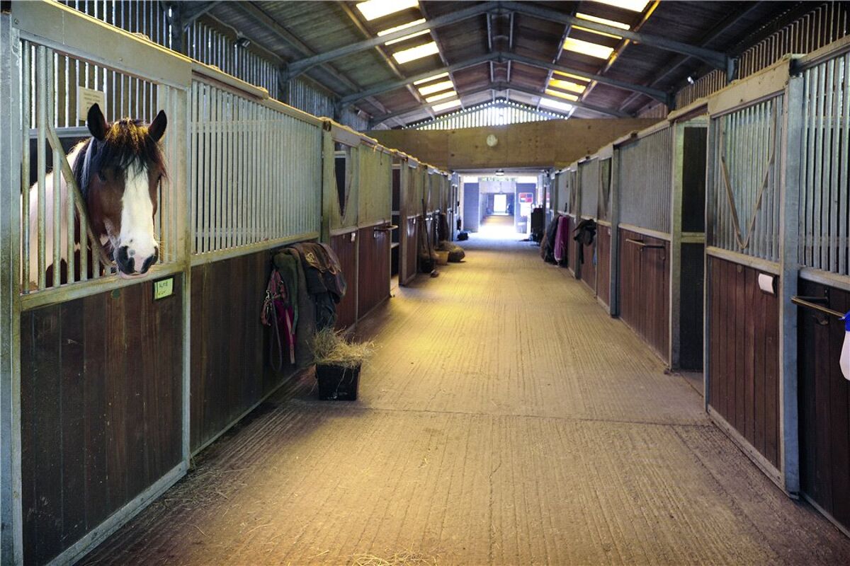 Farm/Estate for sale in Pennypot Lane, Chobham, Woking, Surrey, GU24