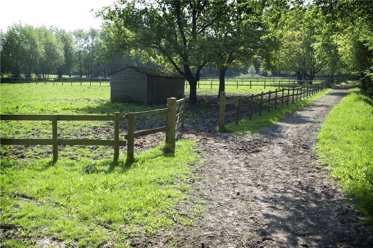 Farm/Estate for sale in Pennypot Lane, Chobham, Woking, Surrey, GU24 VIR180025 Knight Frank