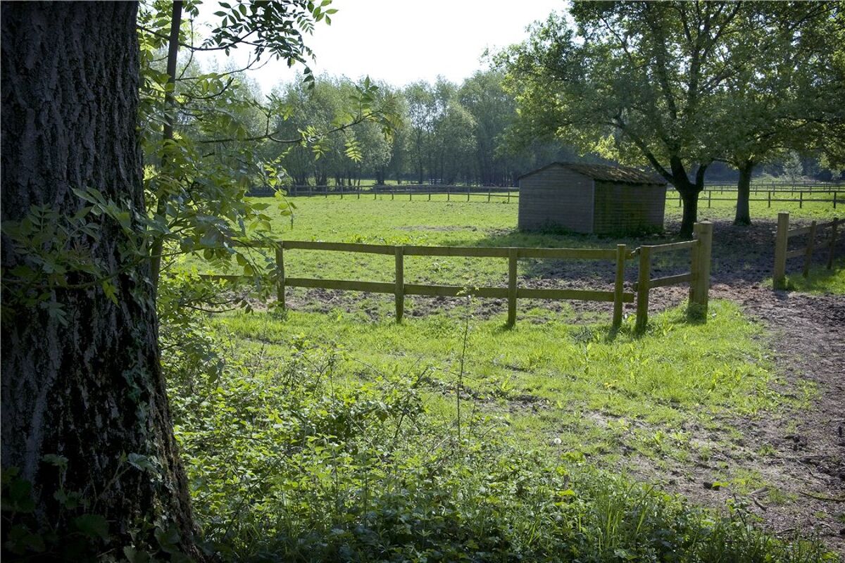 Farm/Estate for sale in Pennypot Lane, Chobham, Woking, Surrey, GU24