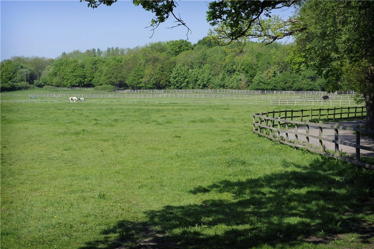 Farm/Estate for sale in Pennypot Lane, Chobham, Woking, Surrey, GU24