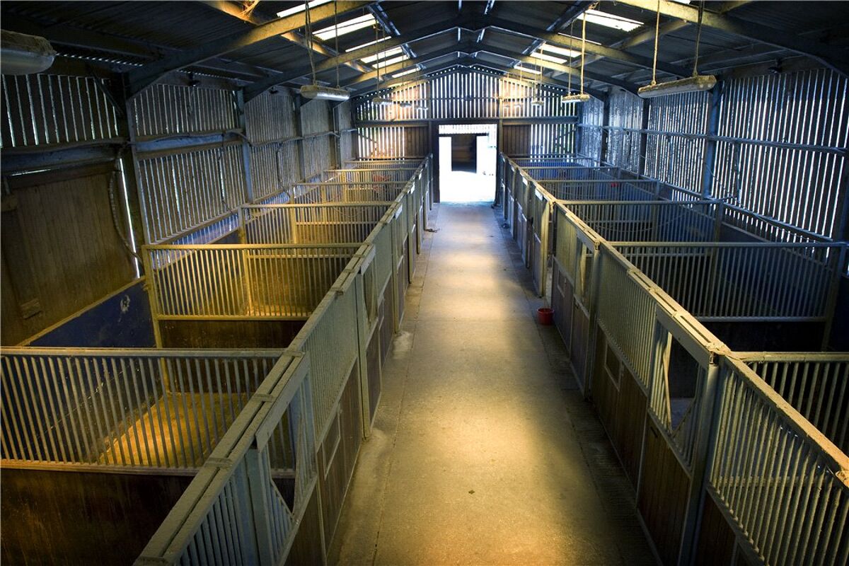 Farm/Estate for sale in Pennypot Lane, Chobham, Woking, Surrey, GU24