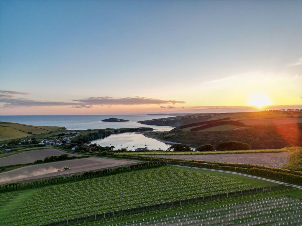 Image of Bantham Vineyard, Bantham, Kingsbridge, Devon, TQ7 3AN