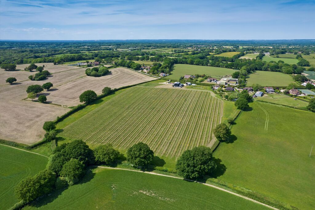 Image of Woodchurch Wine Estate, TN26