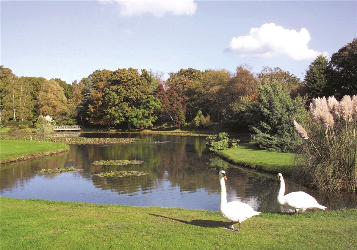 house for sale in Dock Lane, Beaulieu, Brockenhurst, Hampshire, SO42