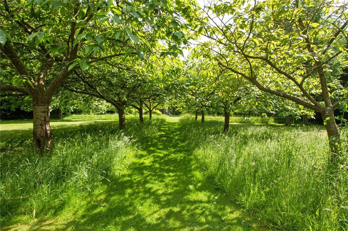 house for sale in Ropley Grove, Petersfield Road, Ropley, Alresford