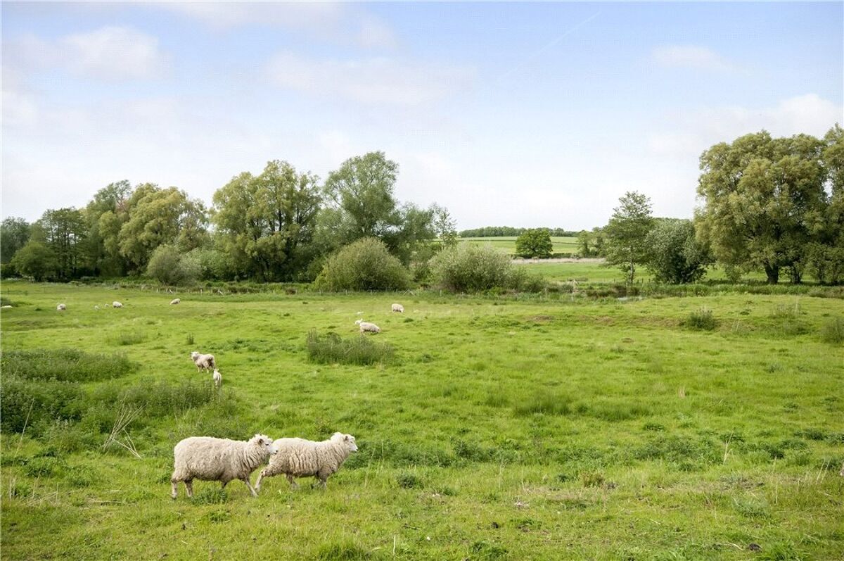 house for sale in Black Farm, Avington, Winchester, Hampshire, SO21