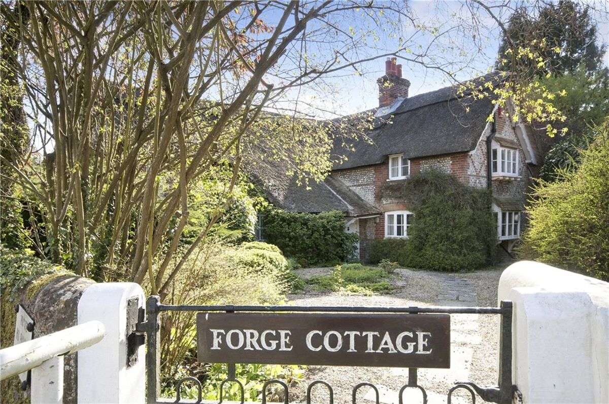 house for sale in Itchen Stoke, Hampshire, SO24 WIN150003 Knight Frank