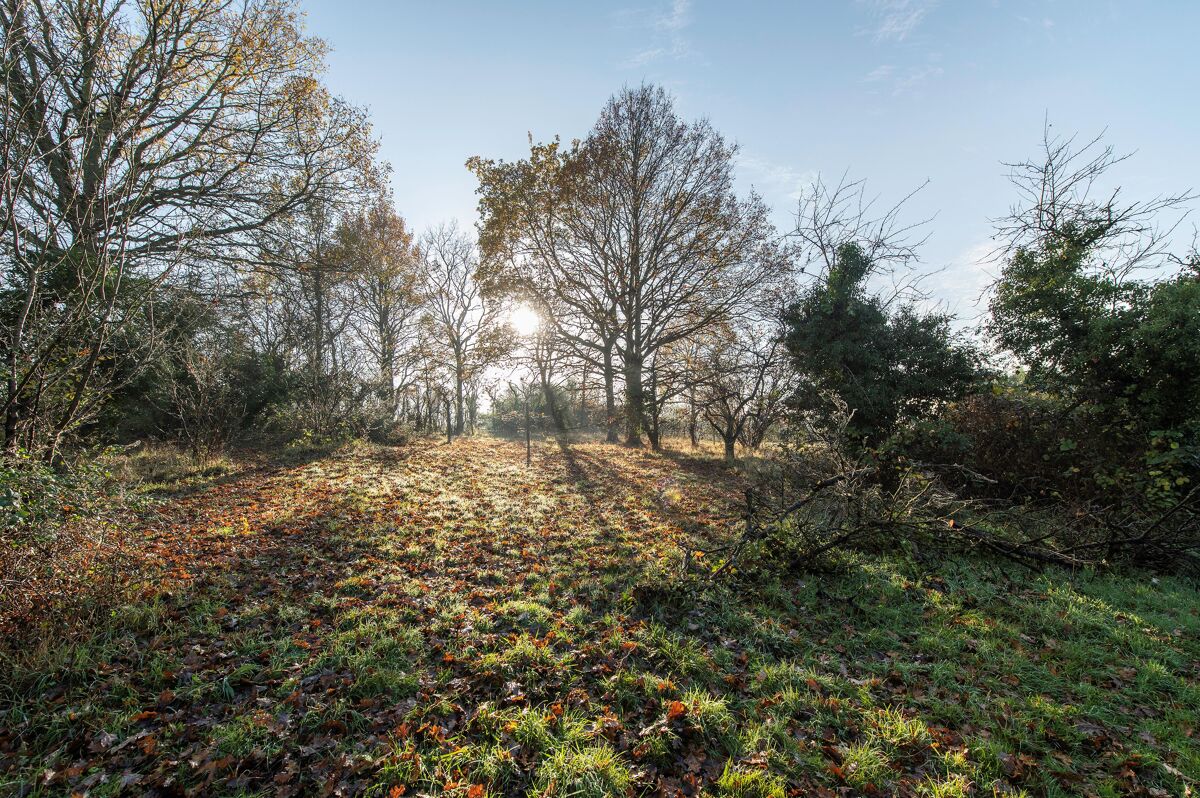 house for sale in Bredons Norton, Tewkesbury, Worcestershire, GL20