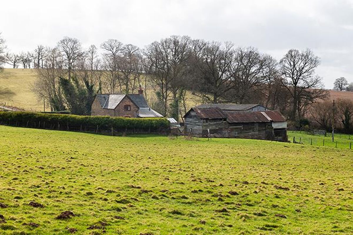 house for sale in Norton, Bromyard, Herefordshire, HR7 WRC012281455