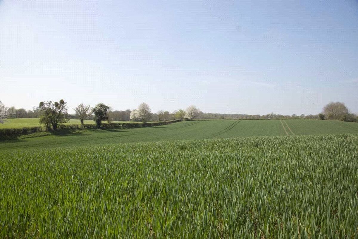Land for sale in Mayhouse Farm Lot 2A, Near Ombersley, Droitwich