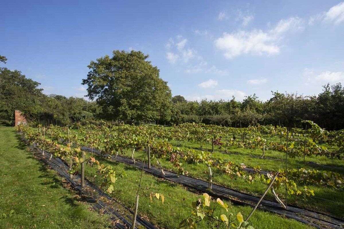 house for sale in The Eades, Monsell Lane, UptonUponSevern