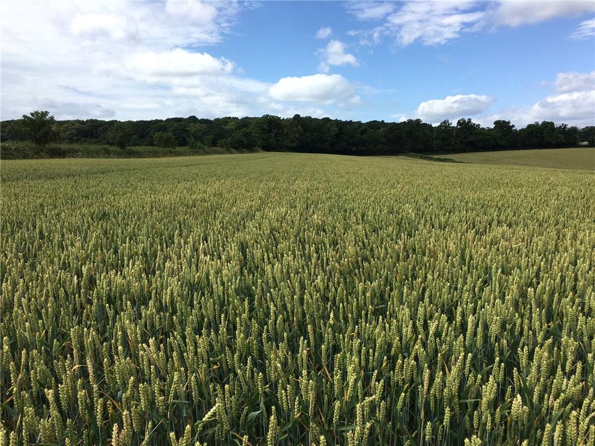 Land for sale in Land At Hadley Lot 1, Near Ombersley, Droitwich