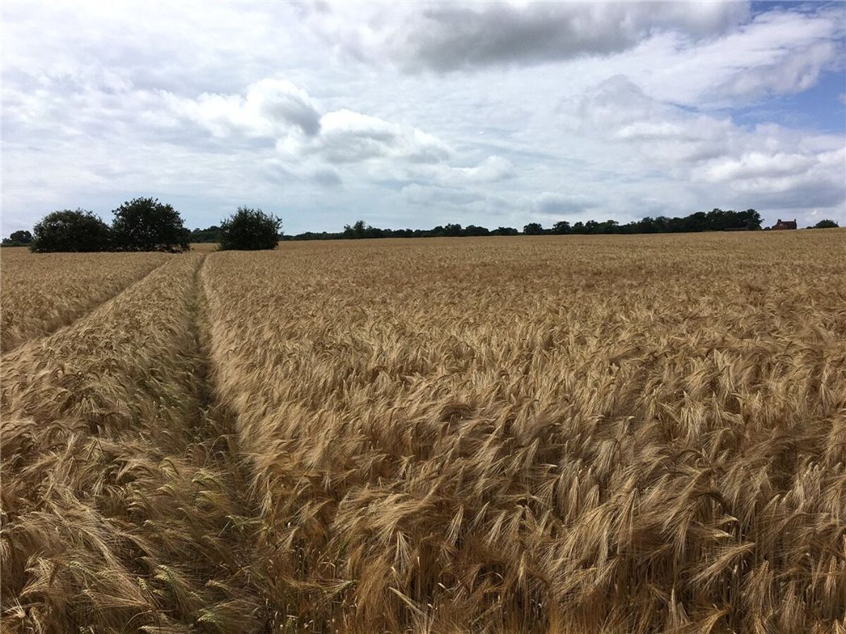 Land for sale in Land At Hadley Lot 2, Near Ombersley, Droitwich