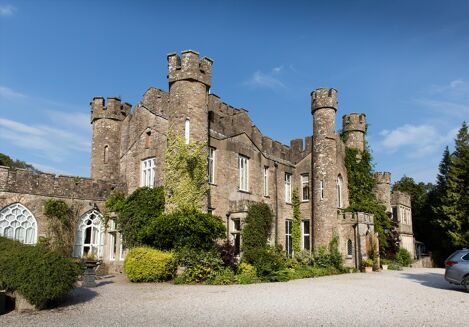 Picture of 14 bedroom castle for sale.