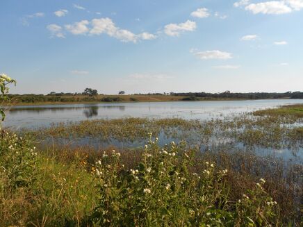 Picture of Farm for sale.