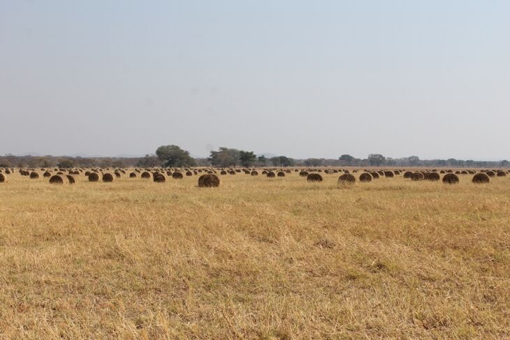 Farms and Estates in Zambia | Knight Frank Zambia