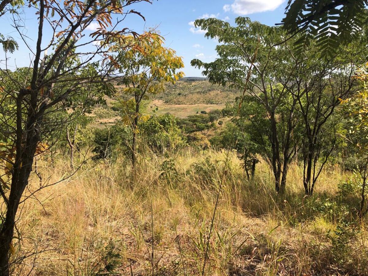 Land for sale in Chilanga / Balmoral area, Lusaka ZM0876 Knight Frank