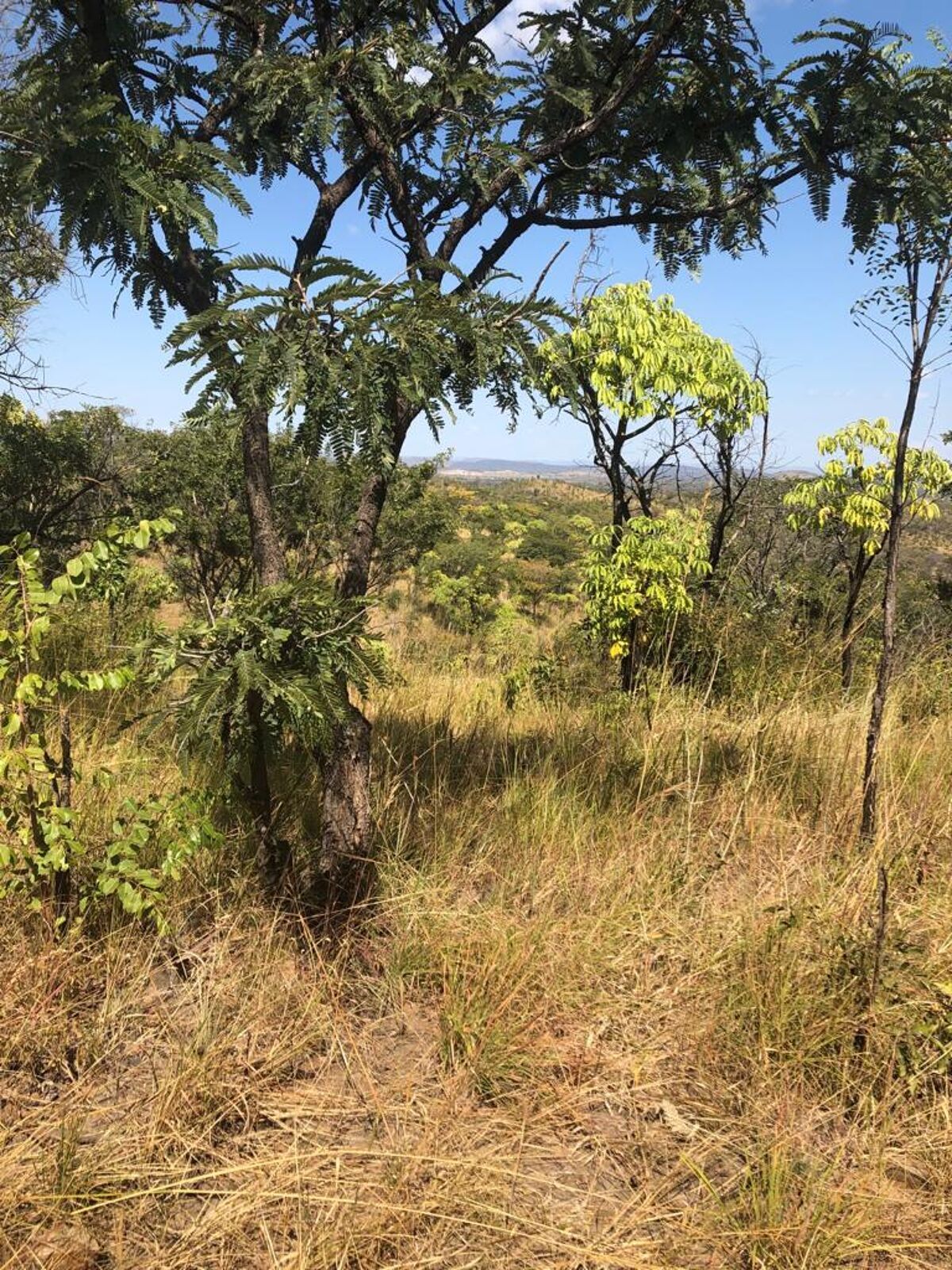 Land for sale in Chilanga / Balmoral area, Lusaka ZM0876 Knight Frank