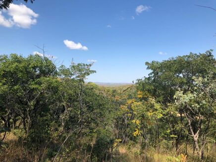 Picture of Land for sale.