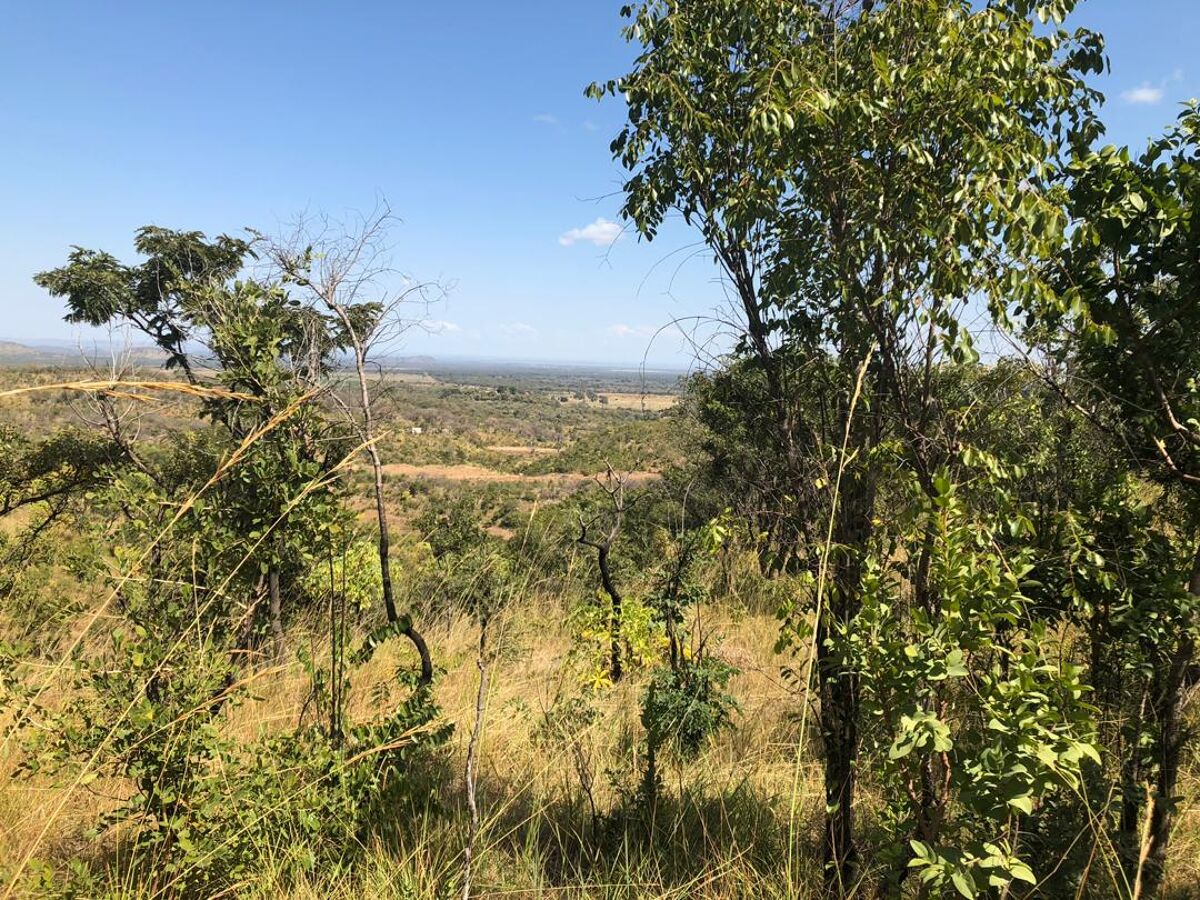 Land for sale in Chilanga / Balmoral area, Lusaka ZM0876 Knight Frank
