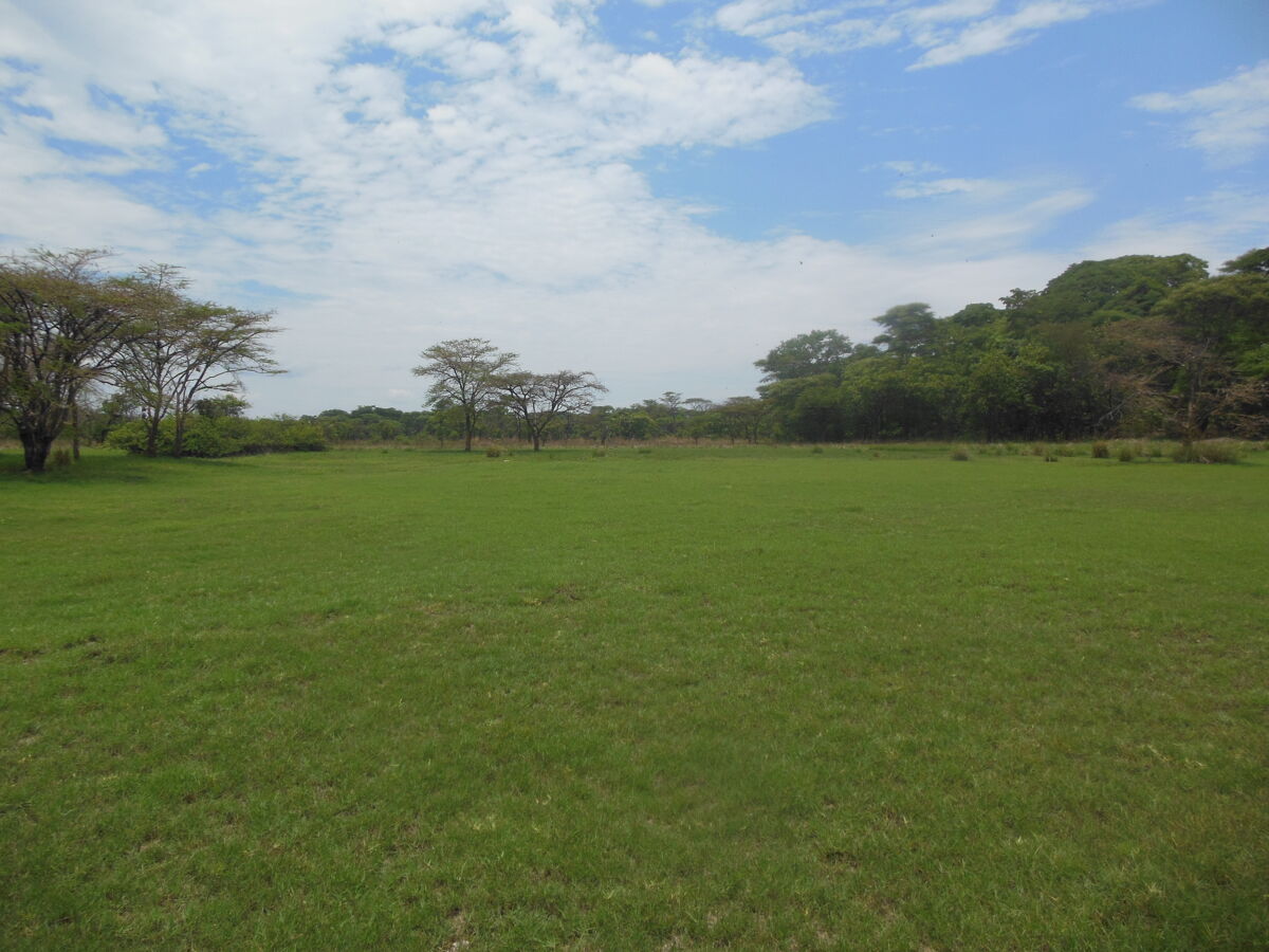 Agricultural for sale in Kabisha Farm, Mpongwe, Zambia ZM1004