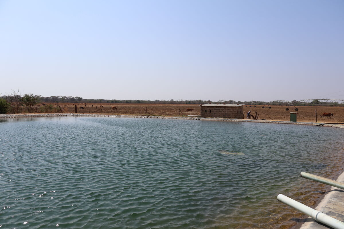 Agricultural Land for sale in Kabwe Farm, Kabwe ZM1026 Knight Frank