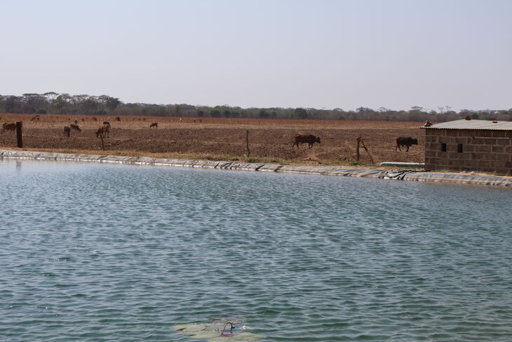Picture of Kabwe Farm, Kabwe 