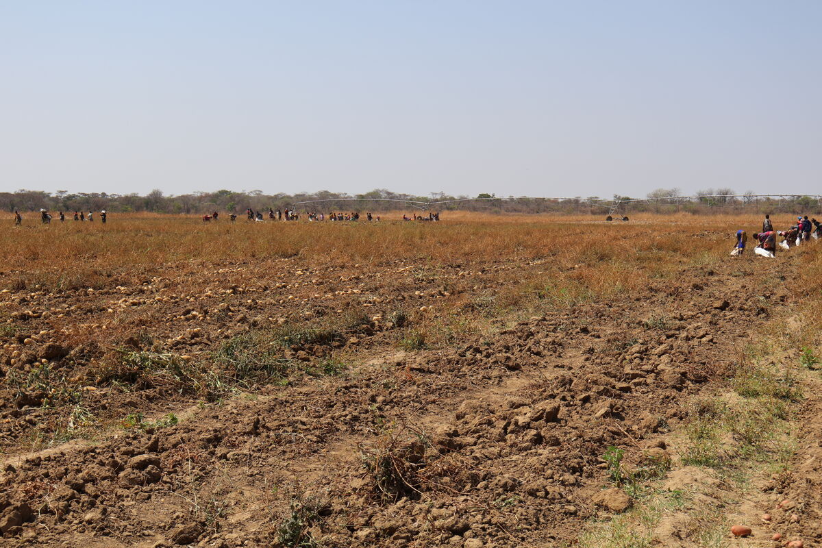 Agricultural Land for sale in Kabwe Farm, Kabwe ZM1026 Knight Frank