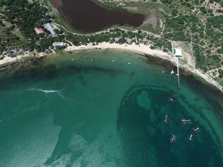 Picture of Poelela Fisheries
Mozambique
